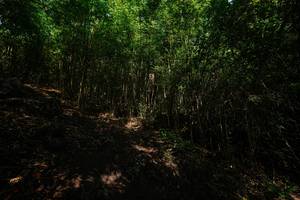 BIB: 
                            <button type="button" onclick="openModal(25092293)" class="btn btn-primary btn-sm float-right btn-popup" data-toggle="modal" data-target=".modal-high-quality">
                        <i class="fas fa-shopping-cart"></i> Add to Cart
                    </button>
                                            <button type="button" onclick="isThisMe(25092293, true)" class="btn btn-success btn-sm float-right btn-popup btn-isme hidden" data-toggle="tooltip" data-placement="bottom" title="นี่คือรูปของคุณใช่ไหม คลิกที่นี่เพื่อเอาเข้าอัลบั้ม">
                        <i class="fas fa-plus"></i> Add to album
                    </button>
                    <button type="button" onclick="isThisMe(25092293, false)" class="btn btn-warning btn-sm float-right btn-popup btn-isnotme hidden">
                        <i class="fas fa-ban"></i> Remove from album
                    </button>